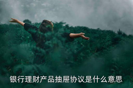 抽屜協(xié)議是什么意思，抽屜協(xié)議具備法律效應(yīng)嗎