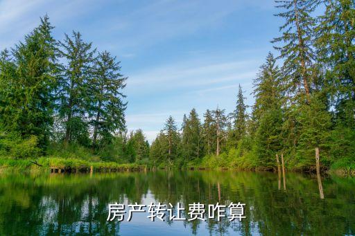 轉讓轉讓什么手續(xù)費嗎，房產(chǎn)轉讓過戶需要交哪些費用