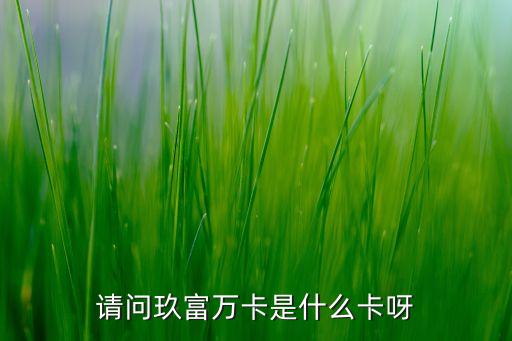 玖富萬卡是什么卡，請問玖富萬卡是什么卡呀