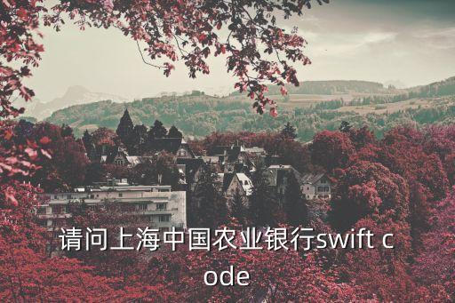 請(qǐng)問上海中國農(nóng)業(yè)銀行swift code
