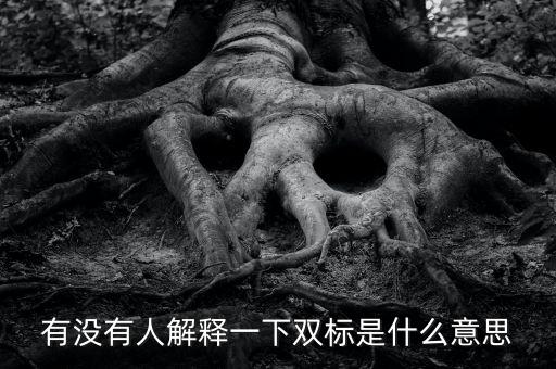 有沒(méi)有人解釋一下雙標(biāo)是什么意思