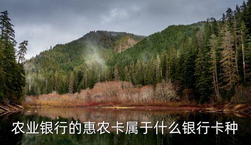 農(nóng)信社普惠卡是什么卡，農(nóng)村信用社普惠卡已制作卡片是什么意思