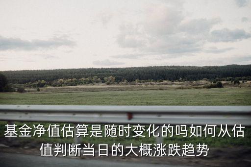基金凈值估算是隨時(shí)變化的嗎如何從估值判斷當(dāng)日的大概漲跌趨勢(shì)