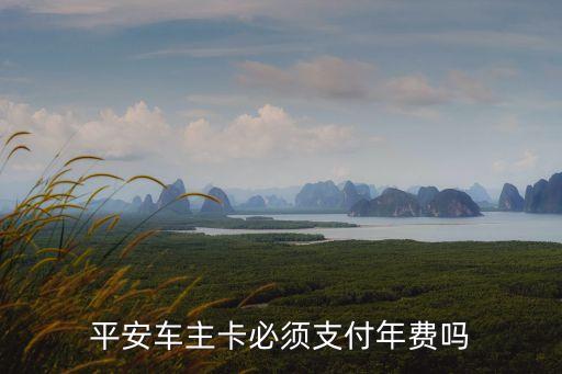平安車主卡必須支付年費(fèi)嗎