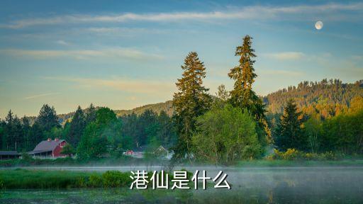 港仙是什么