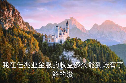 我在佳兆業(yè)金服的收益多久能到賬有了解的沒