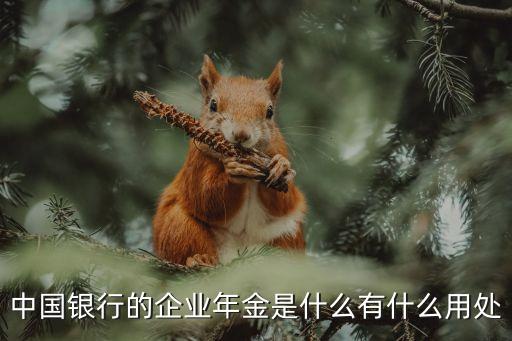 中國(guó)銀行的企業(yè)年金是什么有什么用處