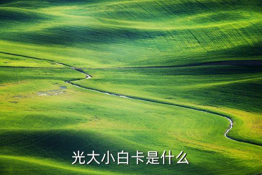 光大小白卡是什么