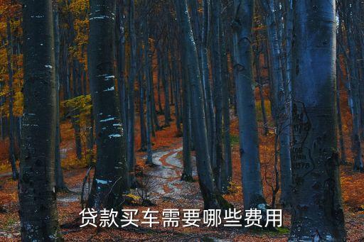 貨款購車需要什么手續(xù)費(fèi)，貸款買車需要什么手續(xù)費(fèi)