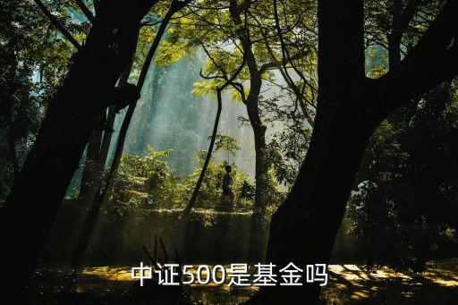 信誠500b是什么，信誠500B基金