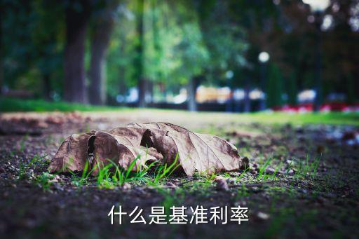 什么是基準(zhǔn)利率