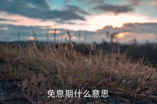 信用卡免息期是指什么，信用卡免息期是什么意思