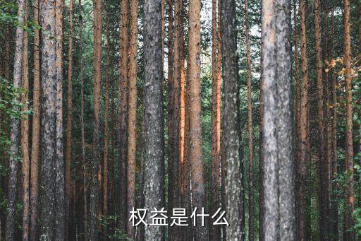 權(quán)益等于什么，權(quán)益是什么詳細舉例