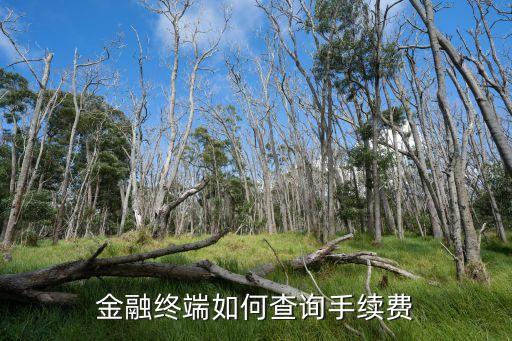 金融終端如何查詢手續(xù)費