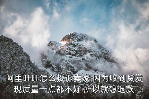 阿里旺旺怎么投訴賣家 因?yàn)槭盏截洶l(fā)現(xiàn)質(zhì)量一點(diǎn)都不好 所以就想退款