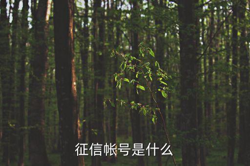 人行征信帳號是什么意思，人行征信授權(quán)賬戶指的是什么