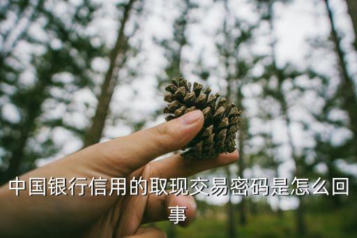 中國(guó)銀行信用的取現(xiàn)交易密碼是怎么回事