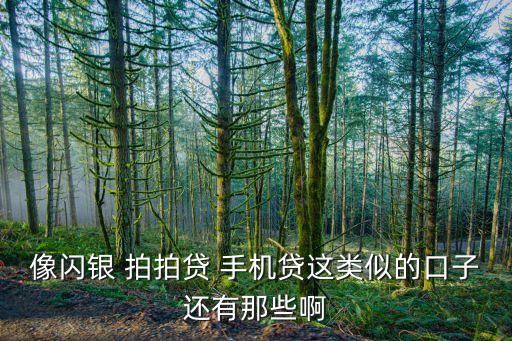 有什么口子跟閃銀一樣，像閃銀 拍拍貸 手機(jī)貸這類似的口子還有那些啊