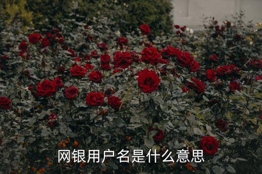 網銀用戶名是什么意思