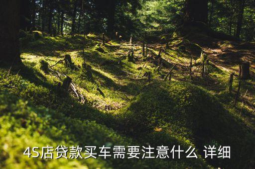 4s店貸款買(mǎi)車(chē)需要什么，4S店貸款買(mǎi)車(chē)需要注意什么 詳細(xì)