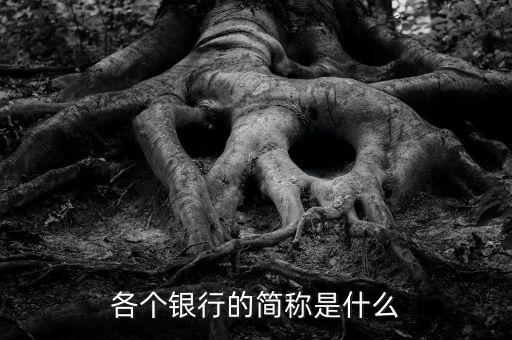 各個(gè)銀行的簡(jiǎn)稱是什么