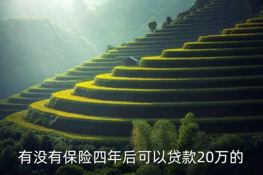 有沒有保險(xiǎn)四年后可以貸款20萬的