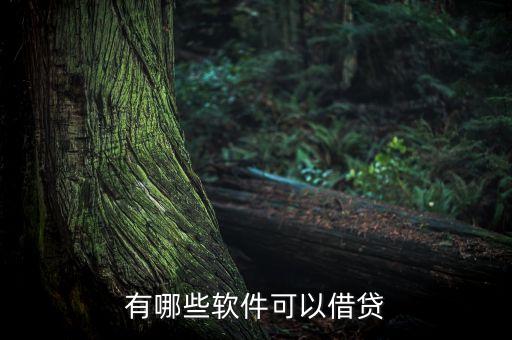 有什么能貸款的軟件有哪些，有哪些借款軟件好用的