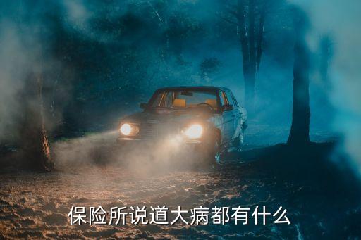 保險所說道大病都有什么