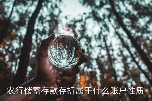 農(nóng)行儲(chǔ)蓄存款存折屬于什么賬戶(hù)性質(zhì)