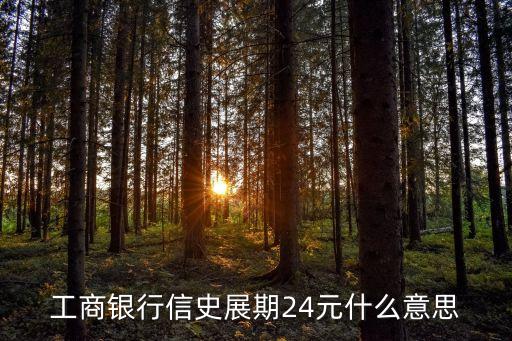 工商銀行信史展期24元什么意思