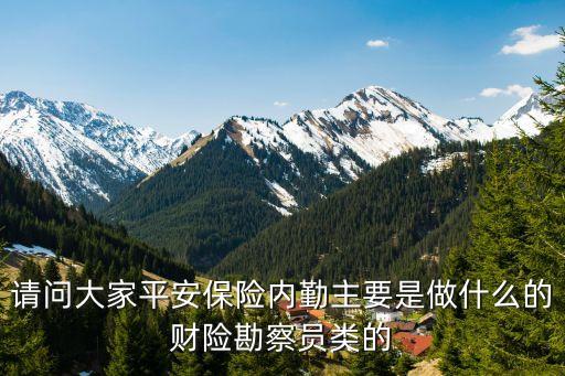 平安鼎泰是做什么，平安金鼎是哪國人的什么東西