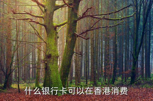 什么銀行卡可以在香港消費(fèi)