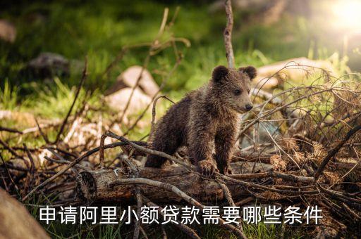 阿里巴巴貸款需要什么條件，申請阿里小額貸款需要哪些條件