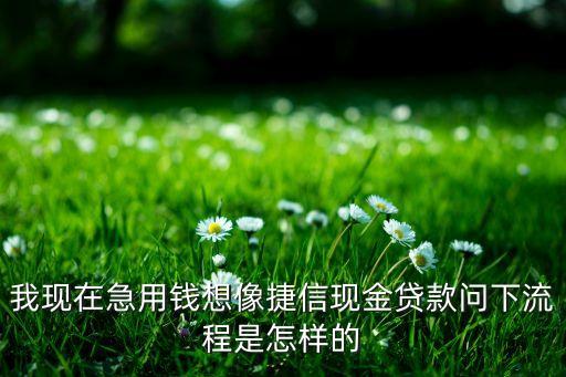 我現(xiàn)在急用錢想像捷信現(xiàn)金貸款問下流程是怎樣的