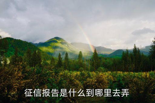什么叫證信報(bào)告，個(gè)人征信報(bào)告是什么