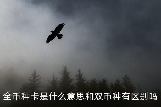 什么是雙幣卡和全幣卡，什么是雙幣卡