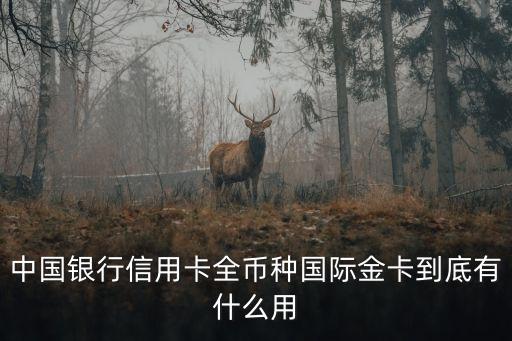 中國銀行信用卡全幣種國際金卡到底有什么用