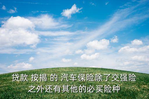 貸款 按揭 的 汽車保險除了交強險之外還有其他的必買險種
