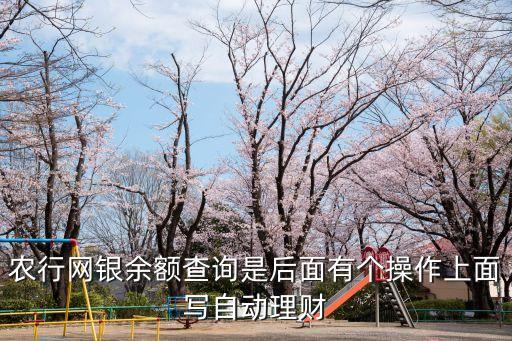農(nóng)行自動(dòng)理財(cái)是什么意思，農(nóng)業(yè)銀行自助終端上顯示選擇理財(cái)是什么意思