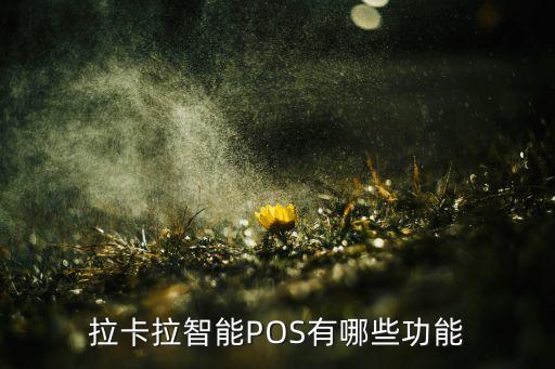 拉卡拉智能POS有哪些功能
