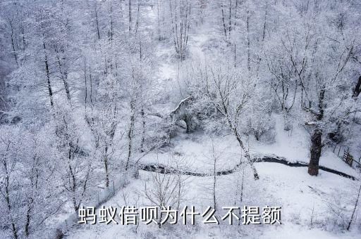 螞蟻借唄為什么不提額度，我的借唄怎么不提額度
