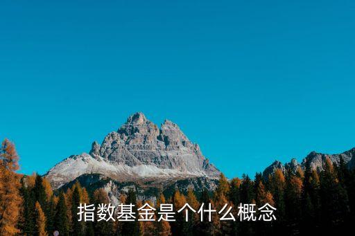 什么是指數(shù)型基金，指數(shù)基金是個(gè)什么概念