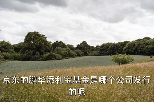 鵬華基金是什么公司，深圳市 鵬華基金管理有限公司 在哪