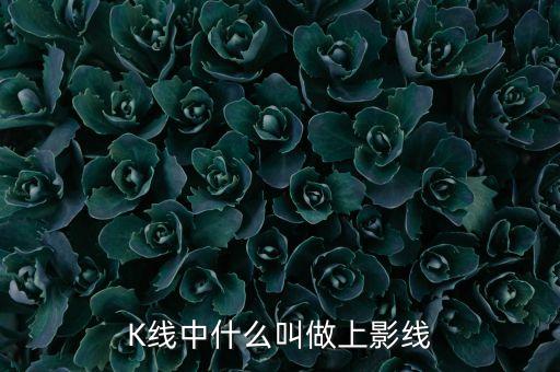 上影線表示什么，什么叫上下影線