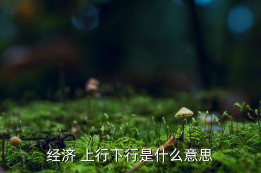 經(jīng)濟(jì) 上行下行是什么意思
