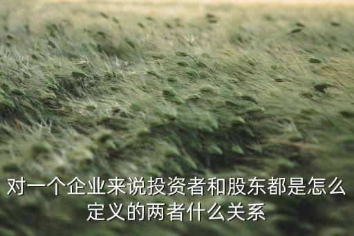 當(dāng)然投資者是什么，對一個(gè)企業(yè)來說投資者和股東都是怎么定義的兩者什么關(guān)系