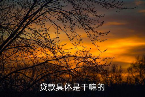 貸款干什么，貸款有哪些用途