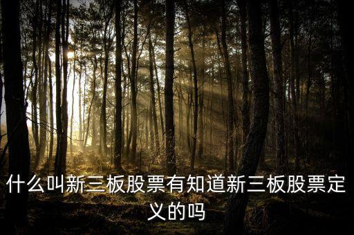 什么叫新三板股票有知道新三板股票定義的嗎