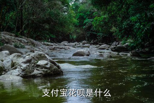 螞蟻花唄什么關(guān)系，花唄和螞蟻花唄有什么區(qū)別