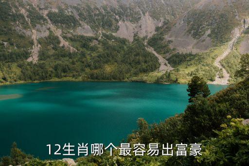 中國富人屬什么的最多，十二生肖那幾肖可稱十大富翁